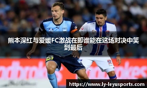 乐鱼体育app下载