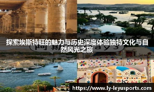 乐鱼体育官网