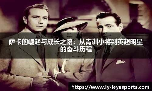 乐鱼体育app下载官网